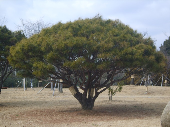 반송사진.jpg